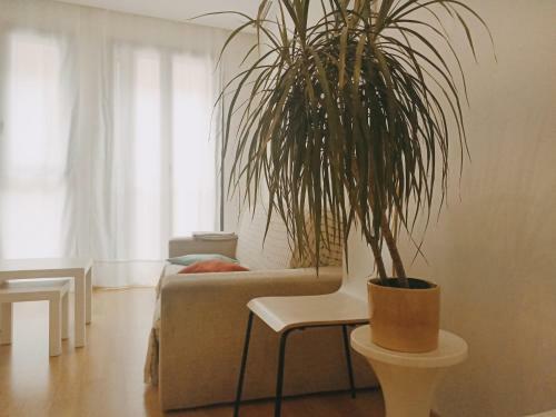 Apartamento Piso En El Centro