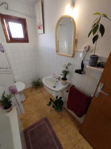 Casa Soneja