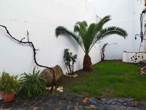 Casa Se�orial Sara