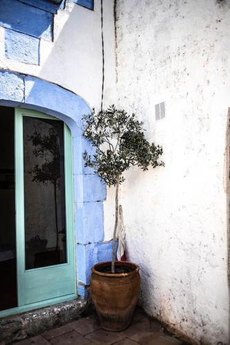 Apartamento Casa De Pueblo Con Jardin Y Piscina
