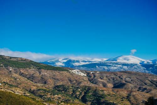 Hostal Cortijo Los Maximos