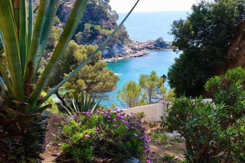 Apartamento Estudio A 100m De La Playa