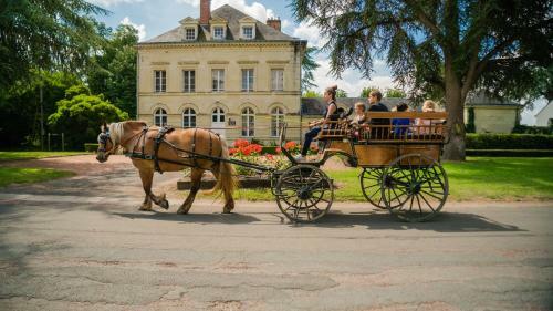 Hotel Domaine De Roiff�
