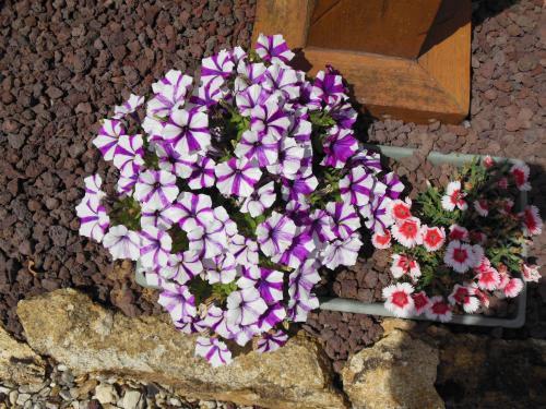 Bed & Breakfast La Rotonde 77