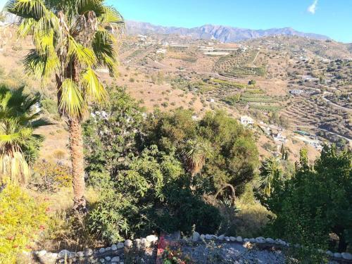 Fantastisk 10+5b�dds Villa I Torrox/nerja -spanien