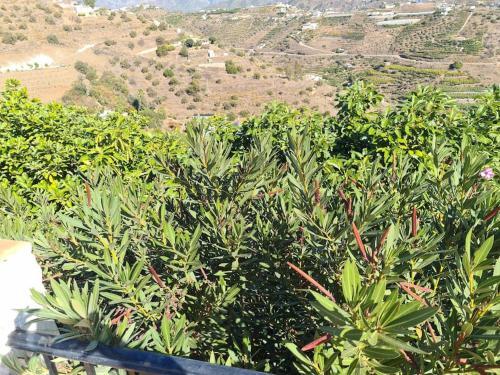 Fantastisk 10+5b�dds Villa I Torrox/nerja -spanien
