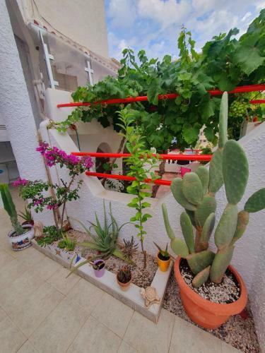 Apartamento Casa Kasia