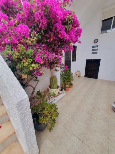 Apartamento Casa Kasia