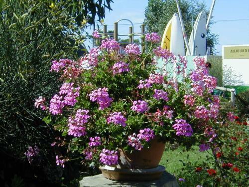 Camping De La Baie