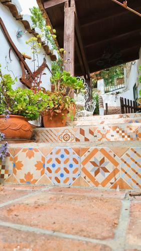 Bed & Breakfast Finca Los Burros