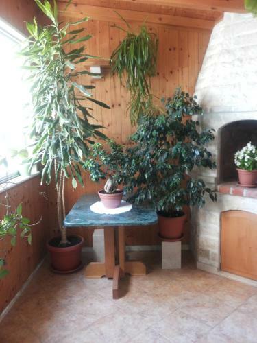 Apartment Olga