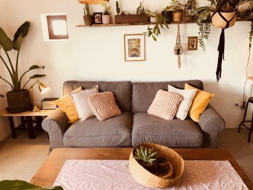 Apartamento Bodega Botanica, Boutique, Boho Vibes And Shared Pool