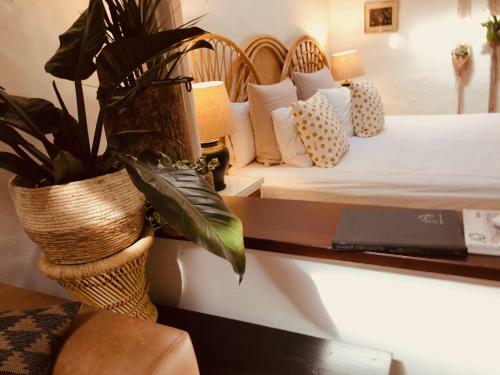 Apartamento Rincon Botanico At Tiagua81 Cosy Studio With Shared Pool