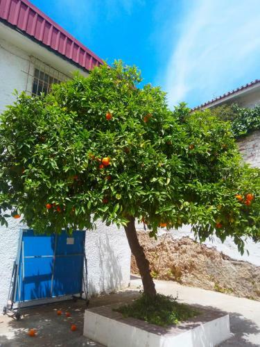 Apartamento Mediterraneo Carihuela - Torremolinos