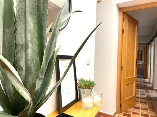 Apartamento Alojamiento Retama Toledo