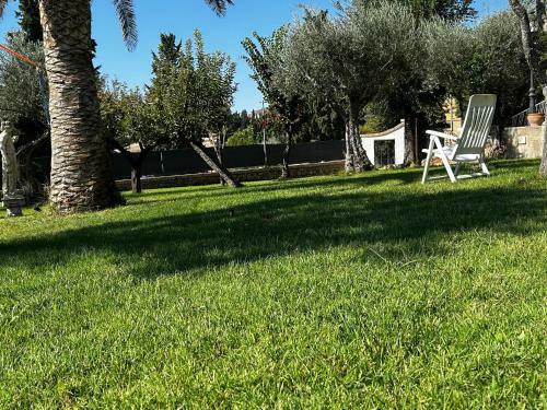 Sue�a Toledo