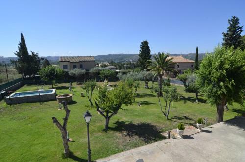 Sue�a Toledo