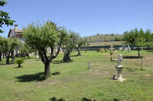 Sue�a Toledo
