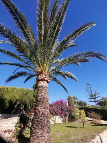 Villa Heerlijk Vakantiehuis In Moraira