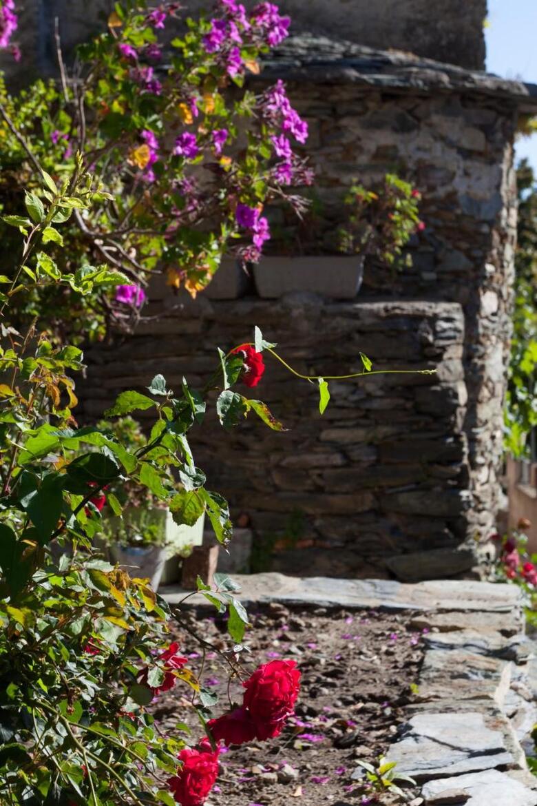 Hotel H�tel De La Corniche
