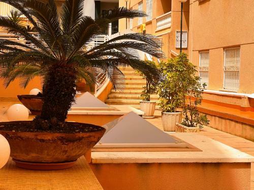 Apartamento Holiday Suite Galeon IV