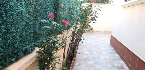 Arco Mediterr�neo Chalet Independiente