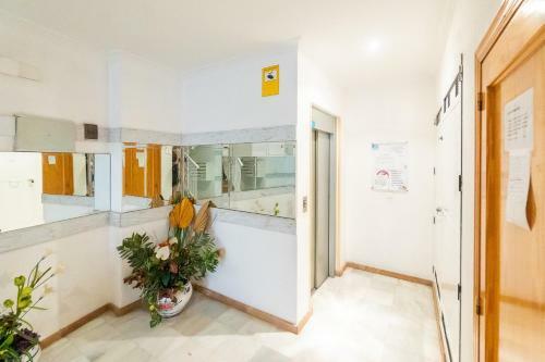 Apartamento Alegria Real Estate Id108