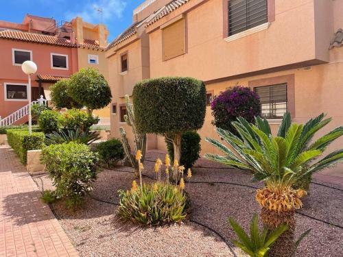 Apartament La Mata Torrevieja