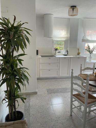 Apartament La Mata Torrevieja