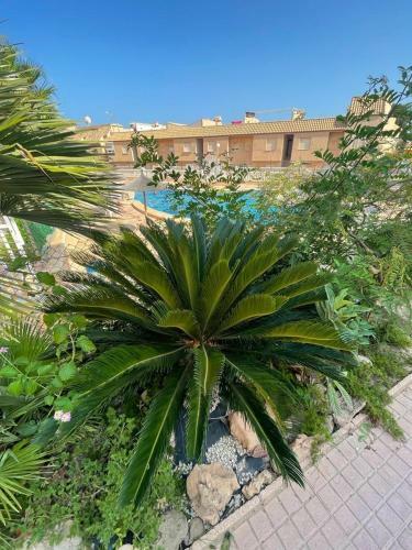 Apartament La Mata Torrevieja