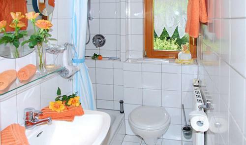 Hostal Pension Rose