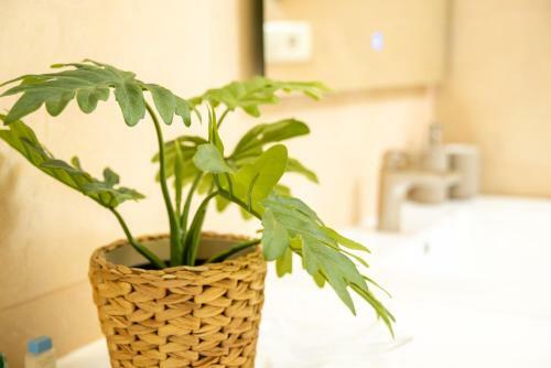 Apartamento Holiday Penthouse Lara