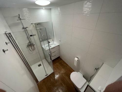 Apartamento Grande Familia