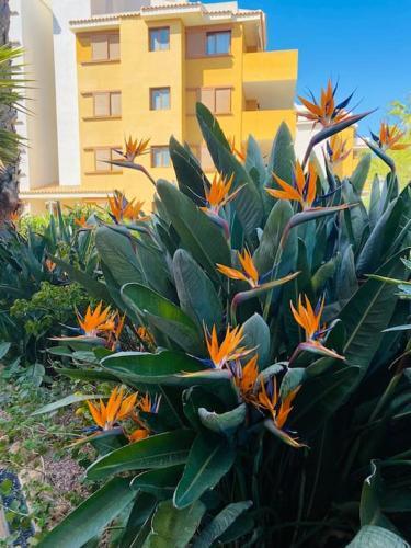 Apartamento Casa De Flores