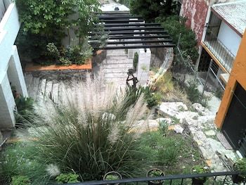 Villa Las Ranas