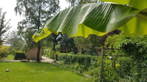 Bed & Breakfast La Maison Du Sart