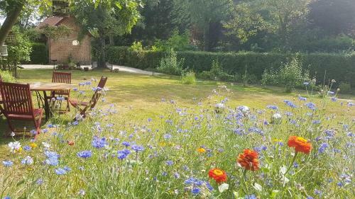Bed & Breakfast La Maison Du Sart