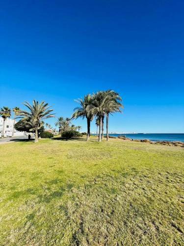 Apartamento En Torrevieja