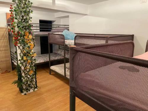Apartamento Estudio En El Coraz�n De Tacoronte