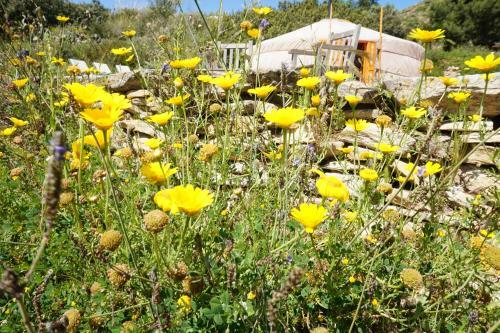Bed & Breakfast Alegria Y Luna