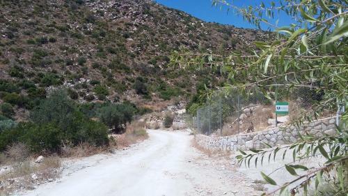 Bed & Breakfast Alegria Y Luna
