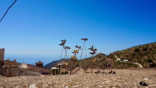 Casa Amigos Sorvilan - La Almendra
