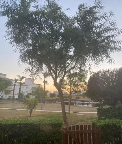 Stunning Ground Floor Apartment Hacienda Riquelme Golf