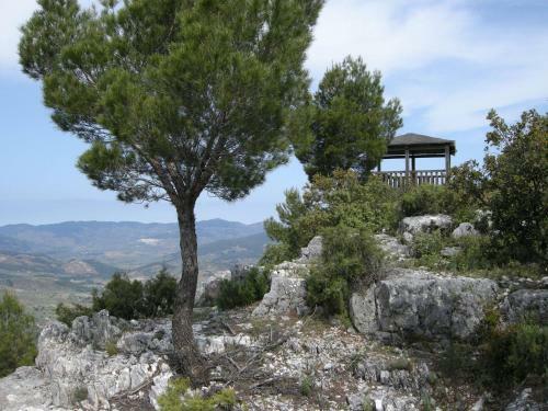 Agroturismo Casa Pinos