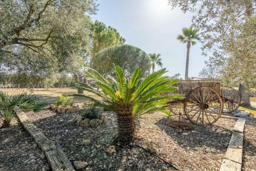 Agroturismo Sineu - 41763 Mallorca