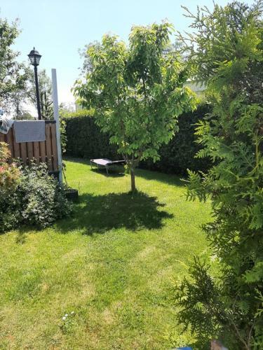 Chalet Am Ijsselstrand