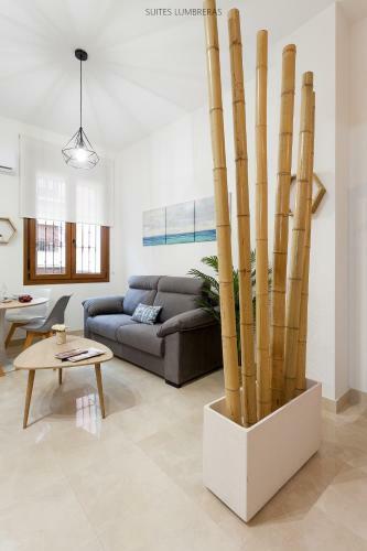 Apartamento Suites Lumbreras