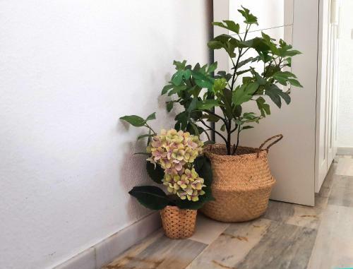 Sunny Balcony - Lovely Center Apartments Alfalfa