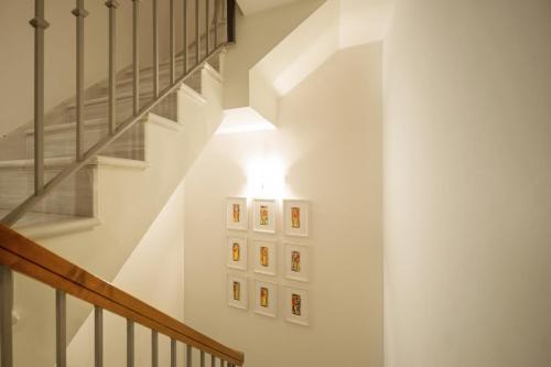 Lateral Suite Rodo