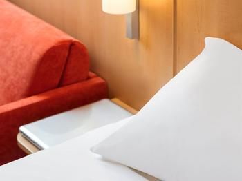 Hotel Ibis Lyon Gerland Merieux